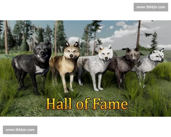 狼群围猎对抗熊王生死决斗一场自然界的力量与智慧较量